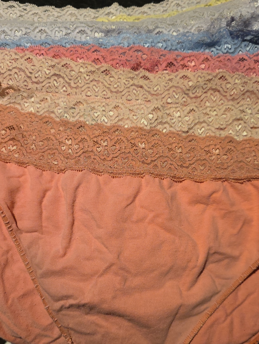 Hanes Lace-Trim Bikini Panties Variety Of Colors